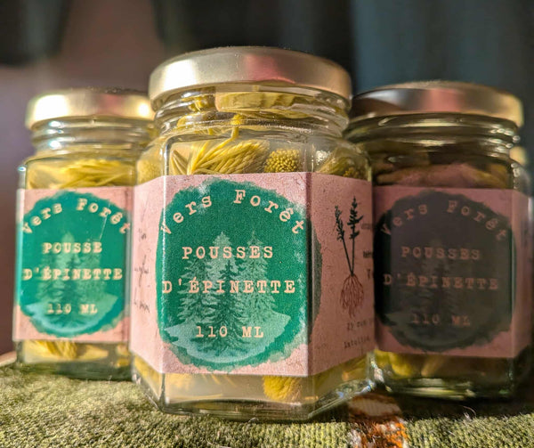 Pousses d'épinettes